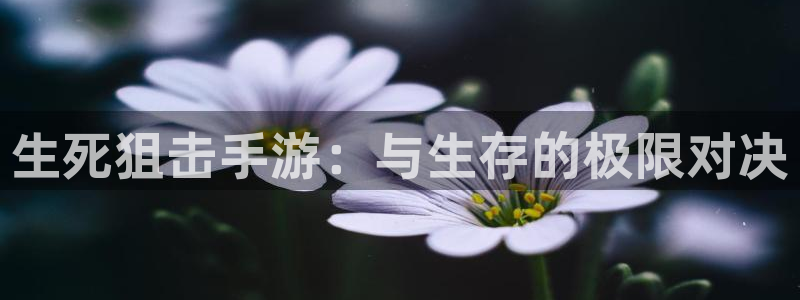 摩根娱乐app