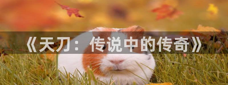 摩根娱乐下载