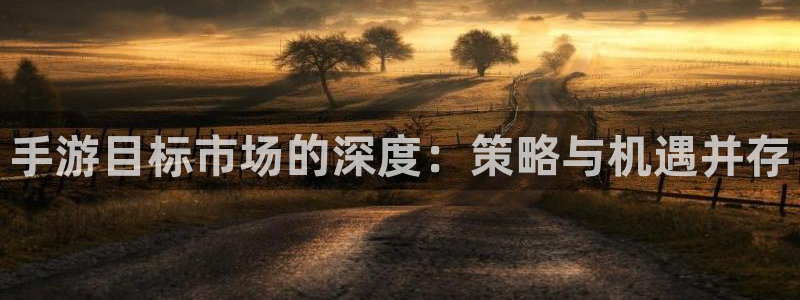 摩根娱乐娱乐官网入口：手游目标市场的深度：策略与机遇并存