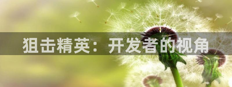 摩根娱乐注册：狙击精英：开发者的视角