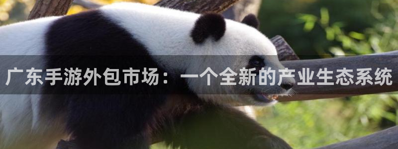 摩根娱乐是个什么平台啊：广东手游外包市场：一个全新的产业生态