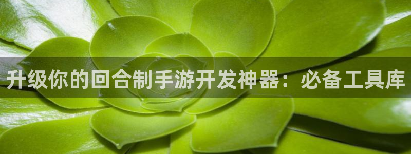 摩根娱乐官网入口：升级你的回合制手游开发神器：必备工具库