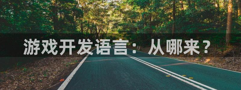 摩根娱乐官网入口：游戏开发语言：从哪来？