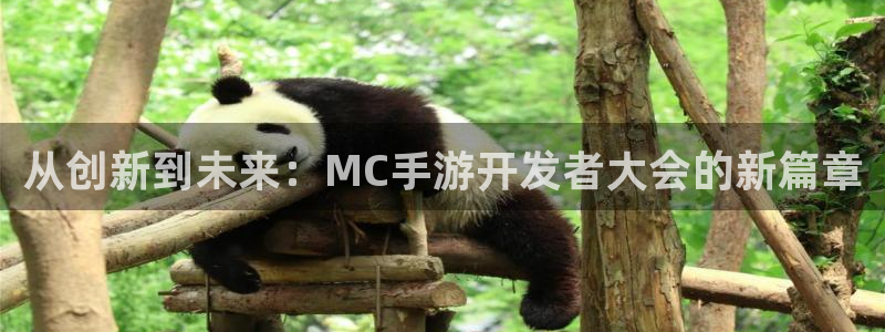 摩根娱乐是正规公司吗还是私企：从创新到未来：MC手游开发者大