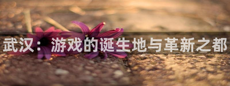 摩根娱乐这个平台怎么样呀：武汉：游戏的诞生地与革新之都