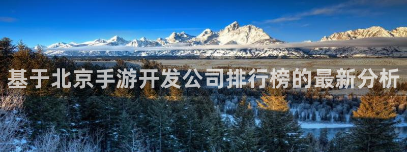 摩根娱乐登陆：基于北京手游开发公司排行榜的最新分析