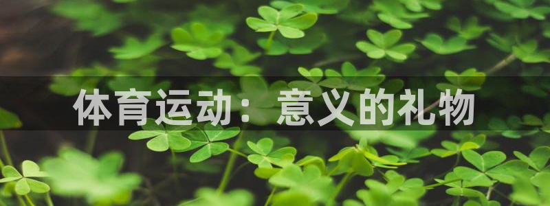 米兰体育app下载：体育运动：意义的礼物