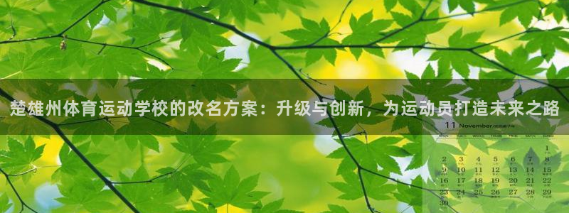 米兰体育平台：楚雄州体育运动学校的改名方案：升级与创新，为运动员打造未来之路