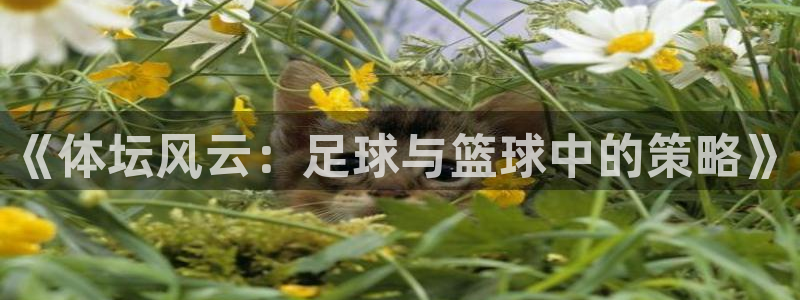 米兰体育网页版登录：《体坛风云：足球与篮球中的策略》