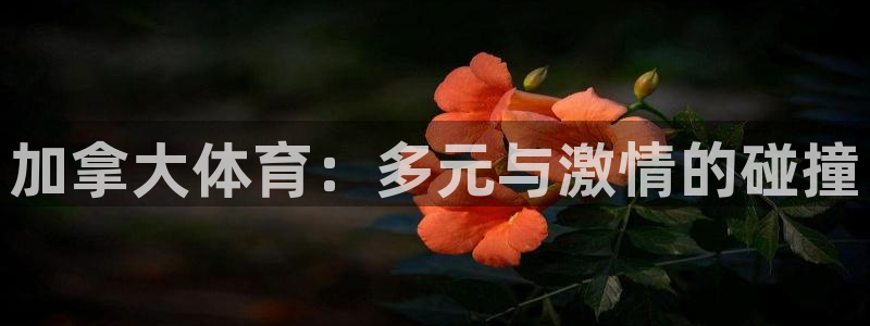 米兰体育靠谱吗：加拿大体育：多元与激情的碰撞
