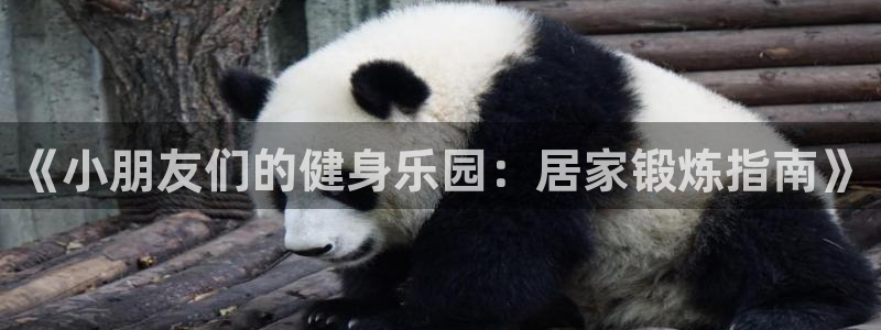 米兰体育平台：《小朋友们的健身乐园：居家锻炼指南》