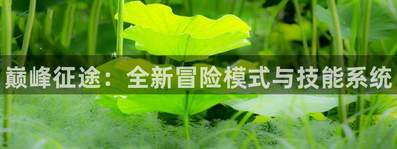 摩根娱乐挂机教程下载：巅峰征途：全新冒险模式与技能系统